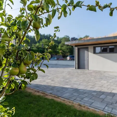 Frühstückspension Zollhaus Endingen am Kaiserstuhl
